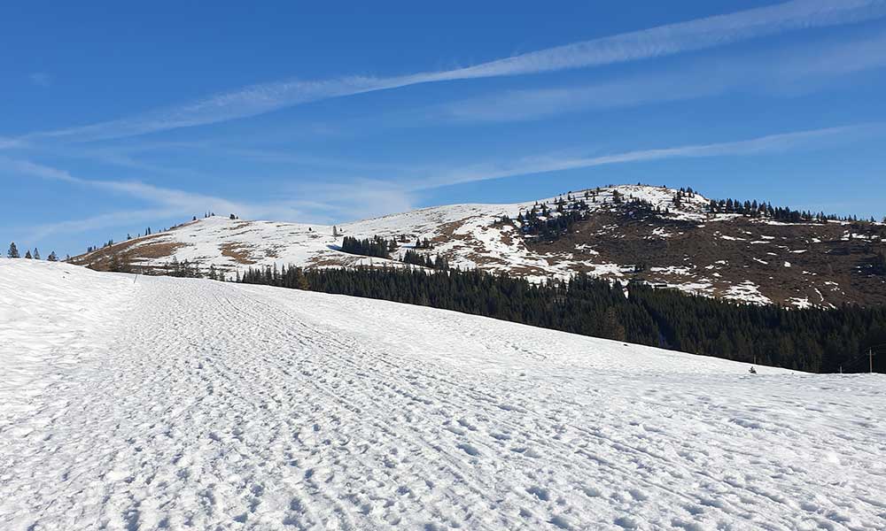 Wieslerhorn