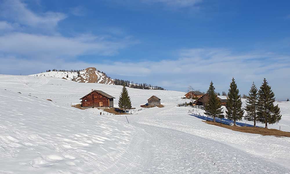 Wieslerhorn