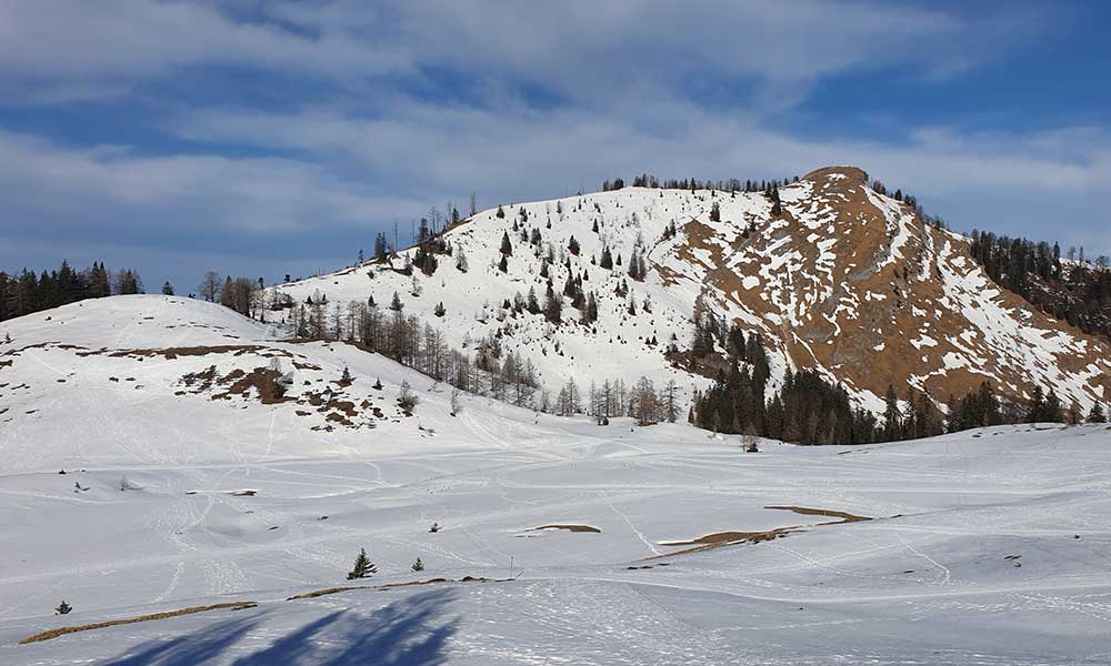 Wieslerhorn