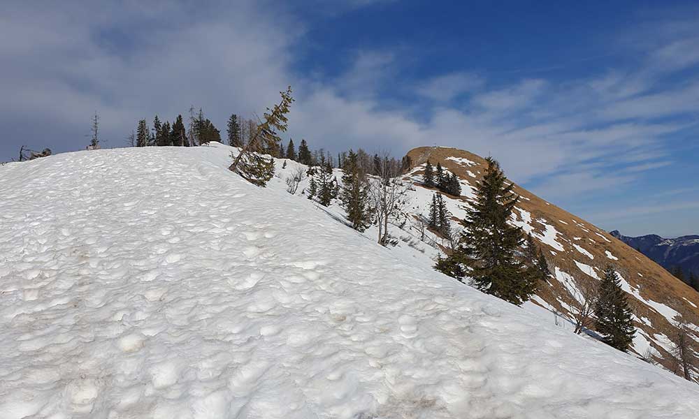 Wieslerhorn