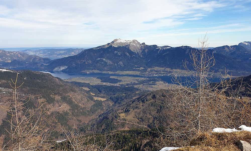 Wieslerhorn