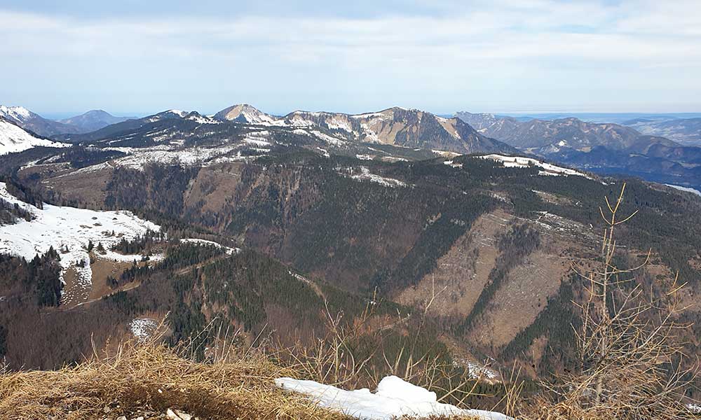 Wieslerhorn