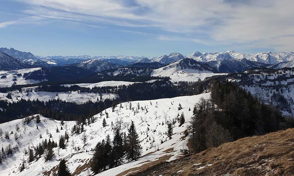 Wieslerhorn