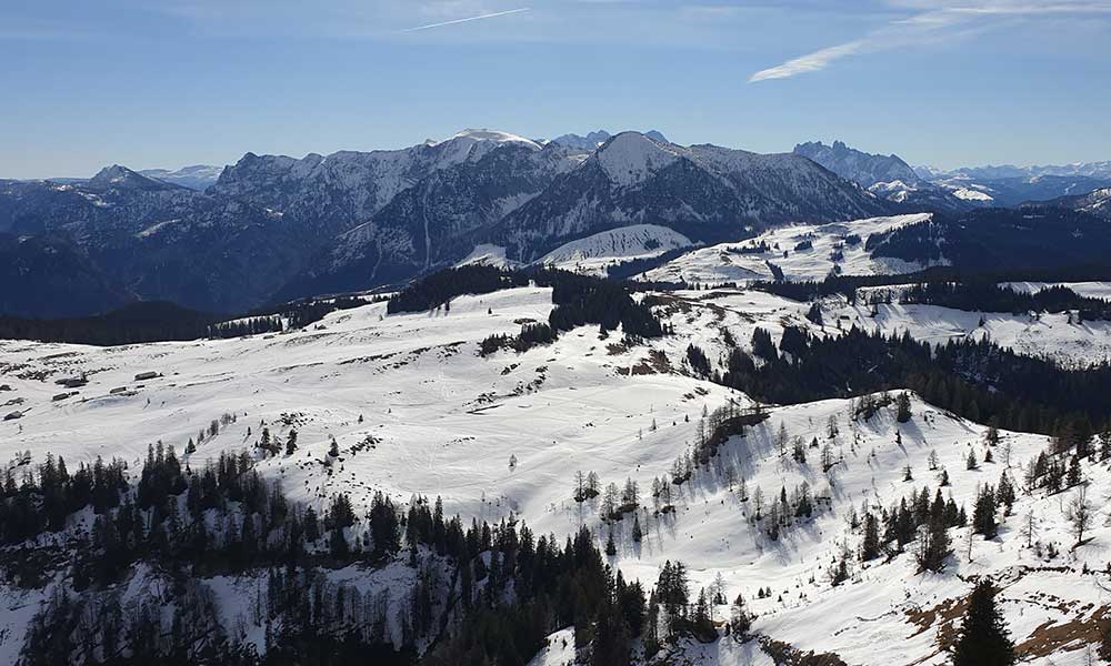 Wieslerhorn