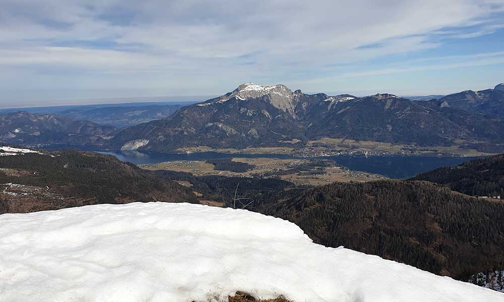 Wieslerhorn