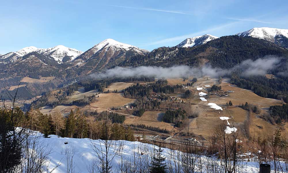 Schober