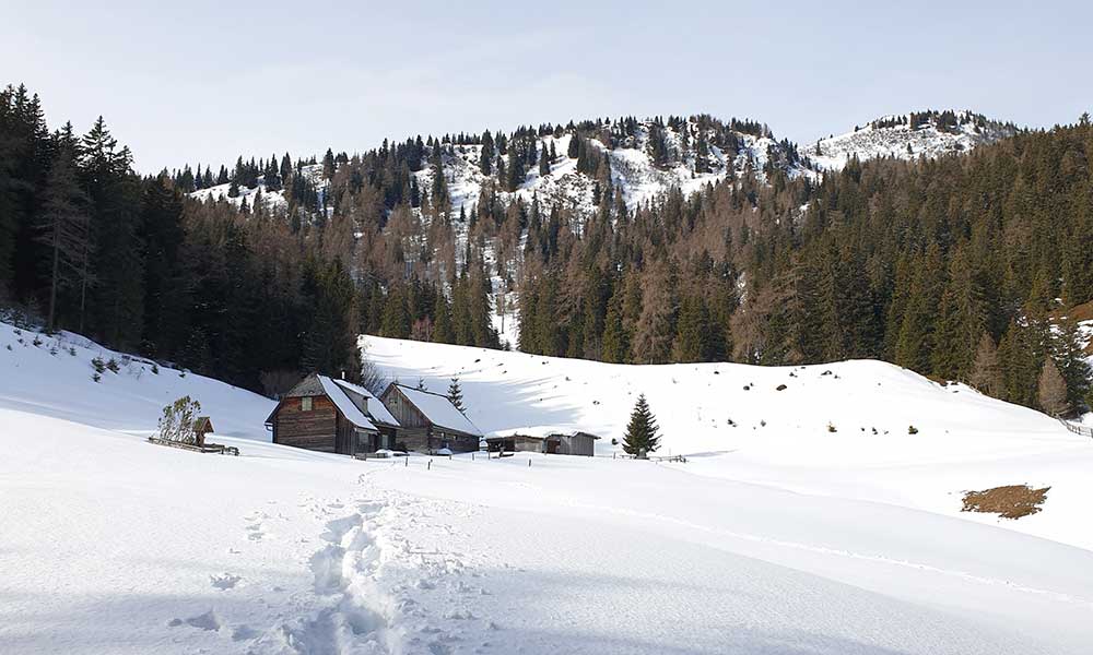 Schober