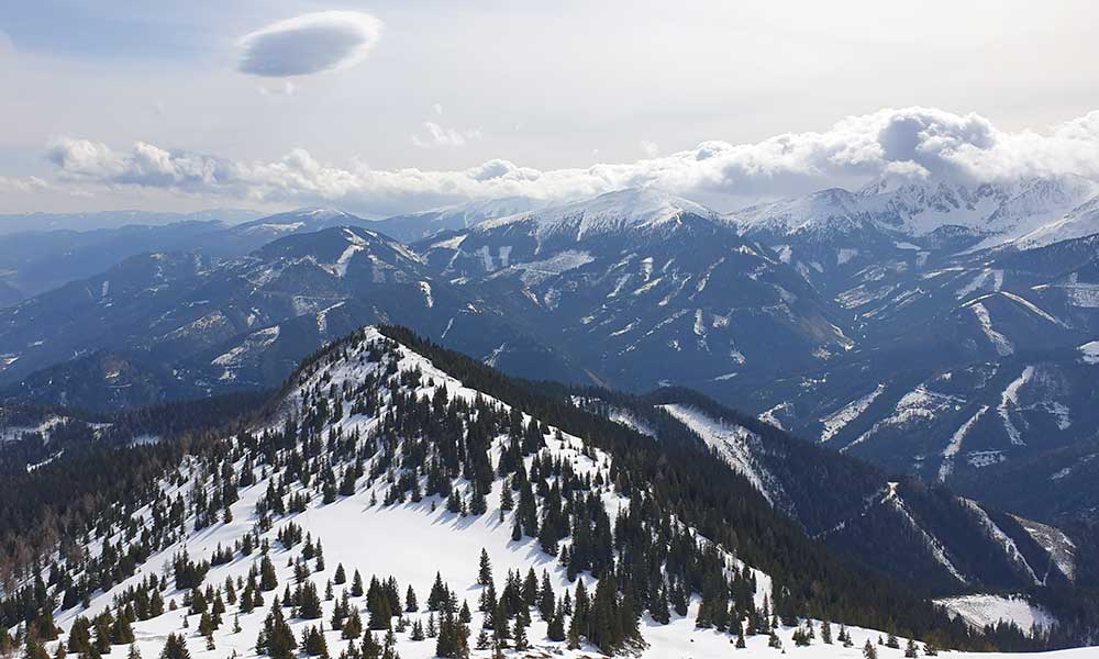 Schober