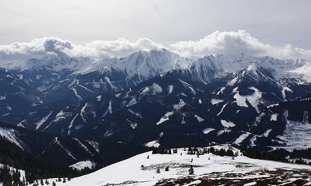 Schober