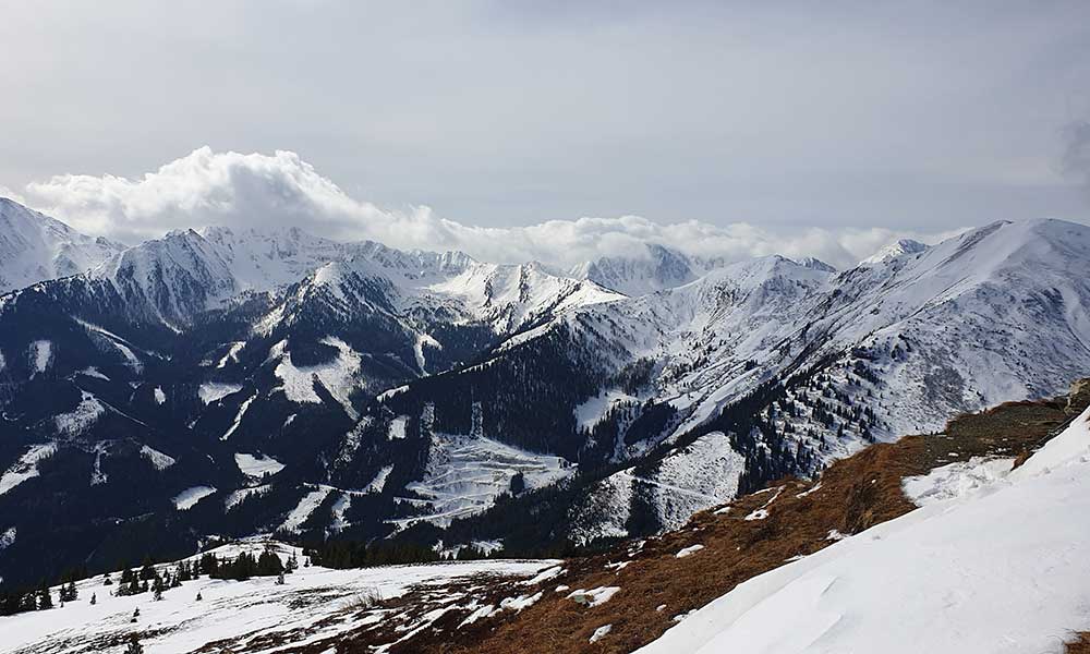Schober