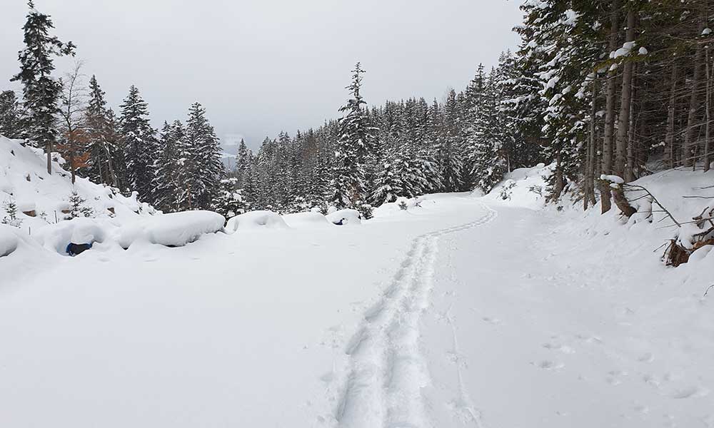 Lichtkogel