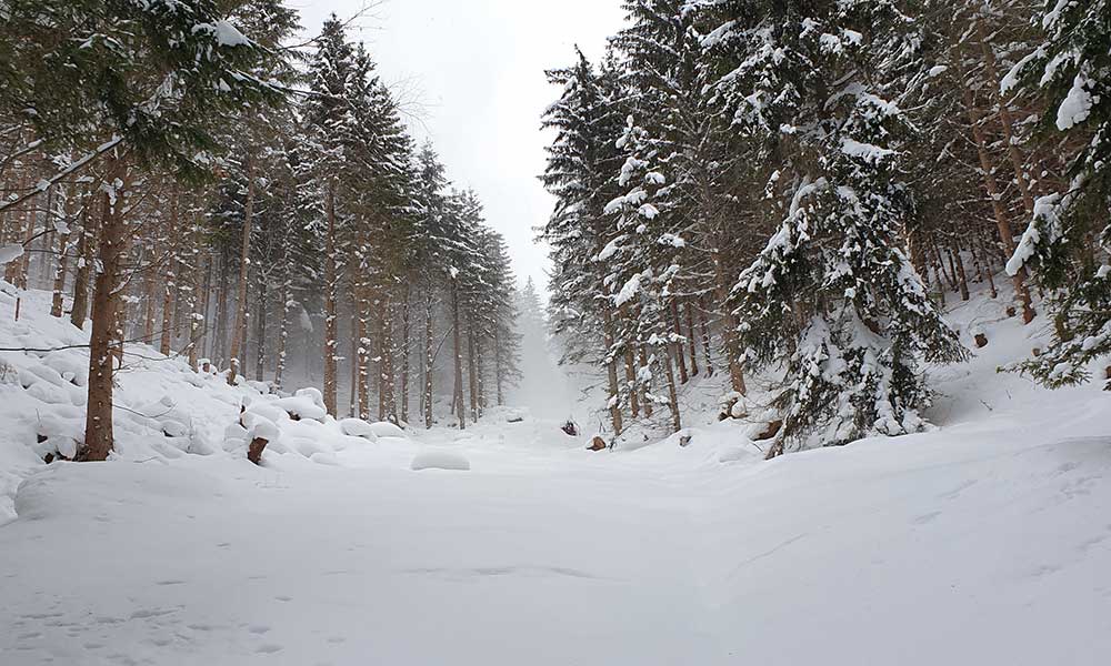 Lichtkogel