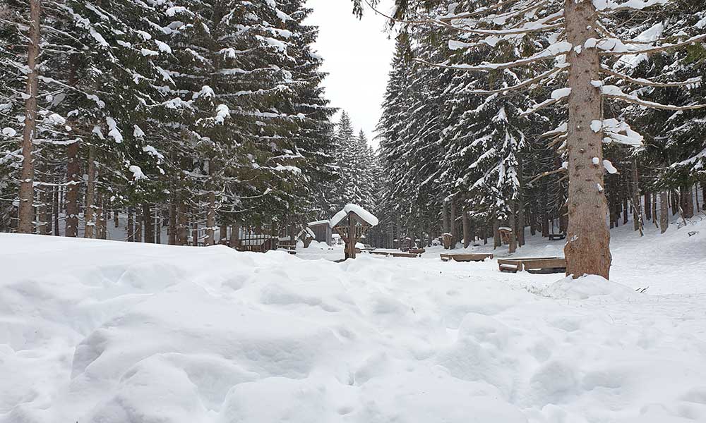 Lichtkogel