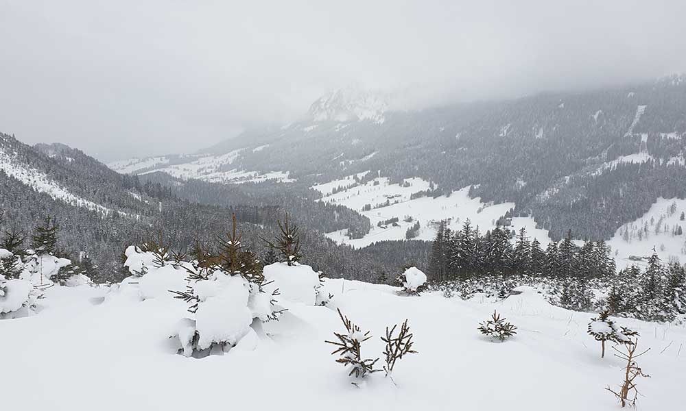 Lichtkogel