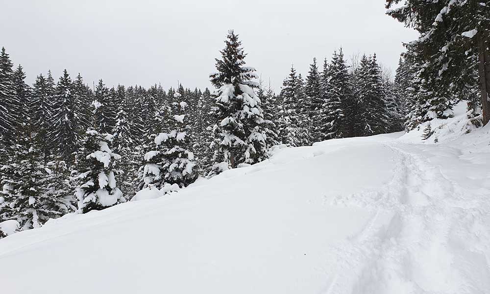 Lichtkogel