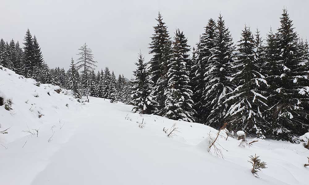 Lichtkogel