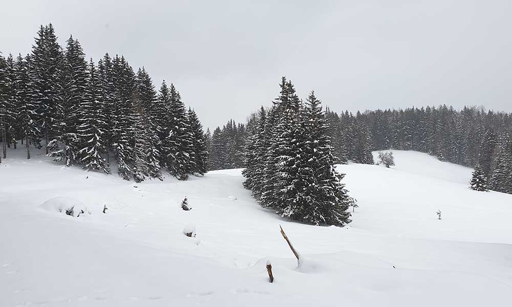 Lichtkogel