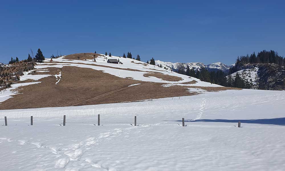 Leistenstein