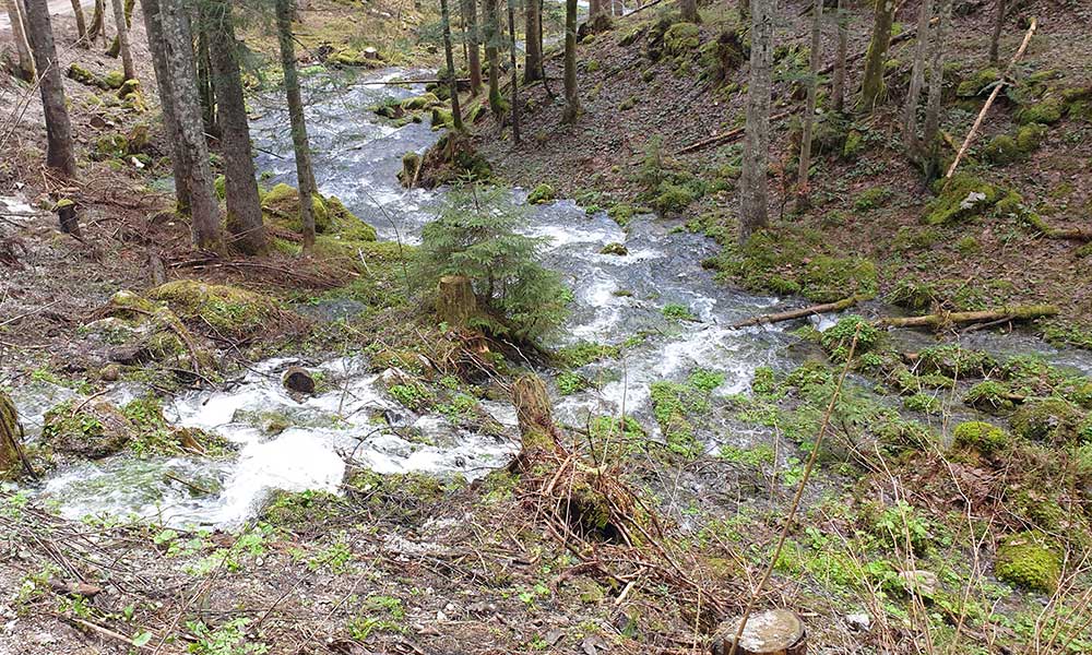 Lahnerkogel