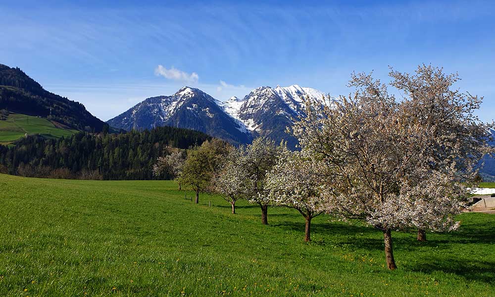 Hochgründeck