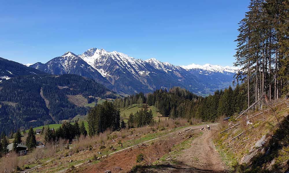 Hochgründeck