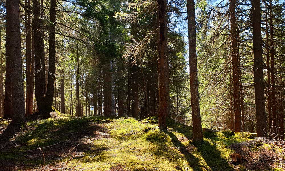 Hochgründeck