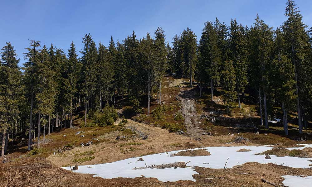 Hochgründeck