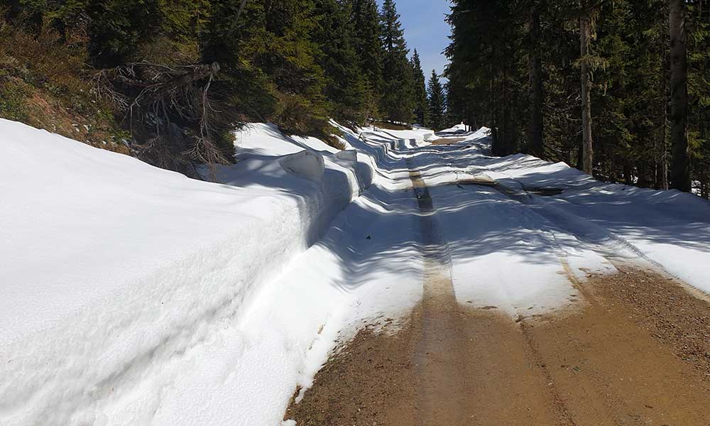 Hochgründeck