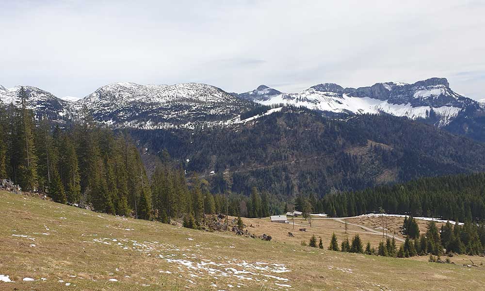 Rotkogel