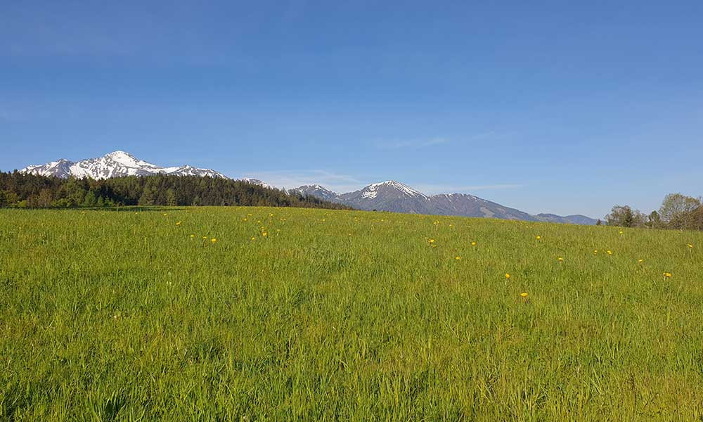 Lahngangkogel