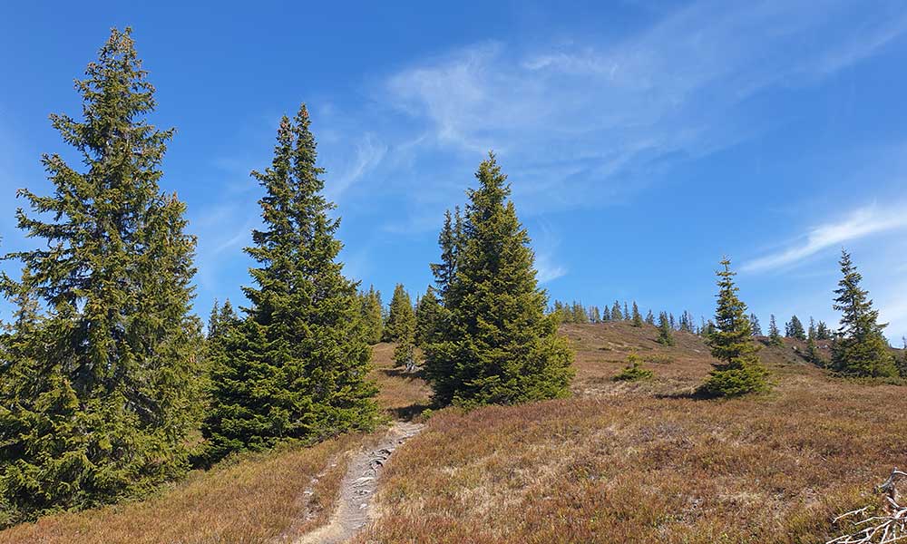 Lahngangkogel