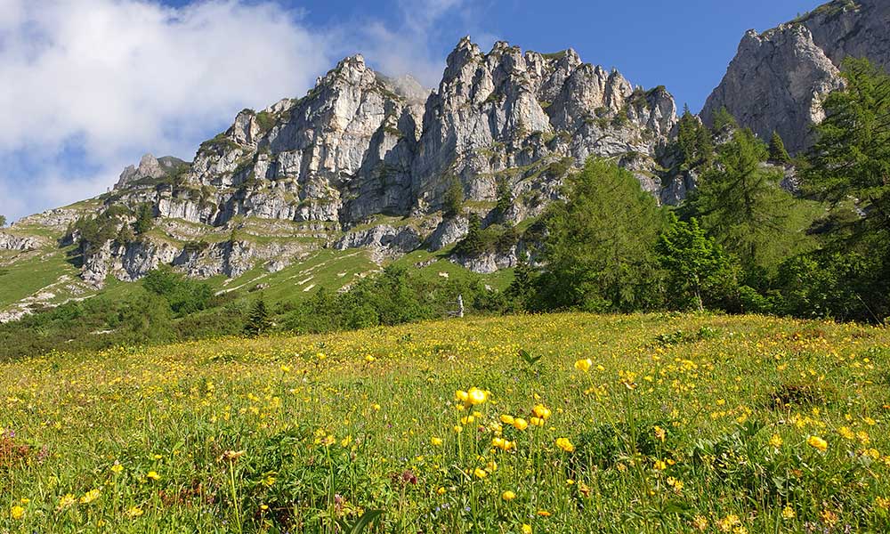 Grabnerstein