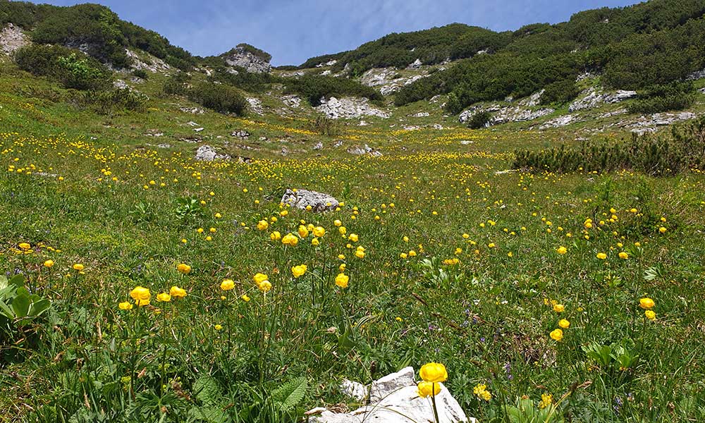 Grabnerstein