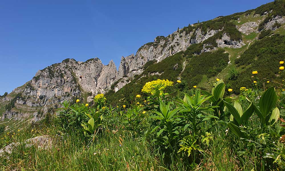 Grabnerstein