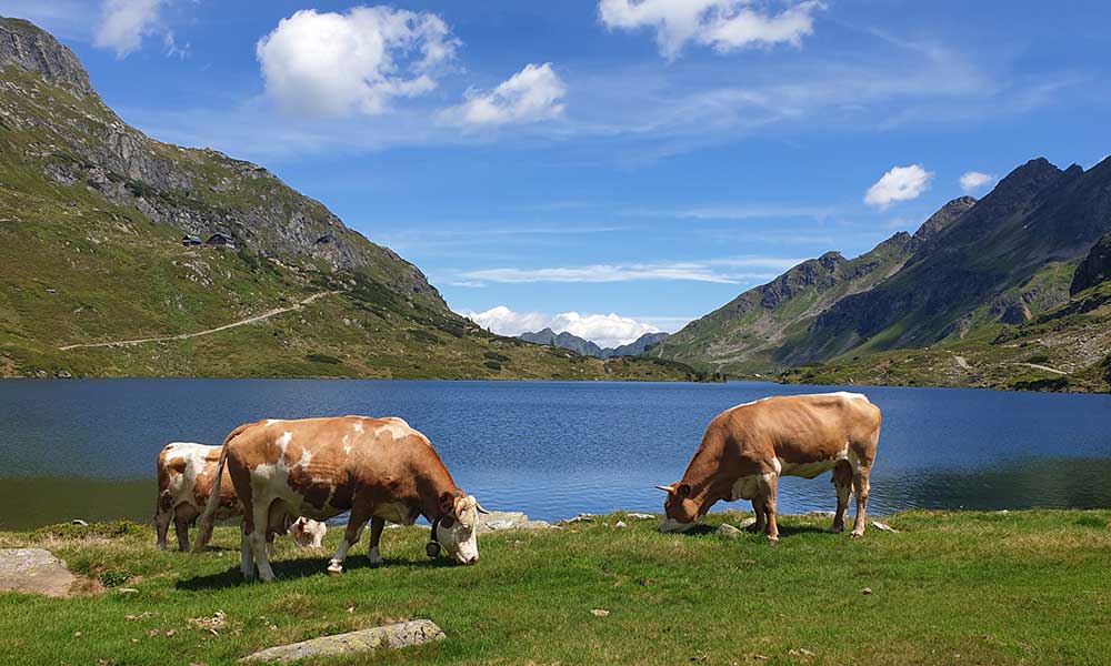  Giglachsee