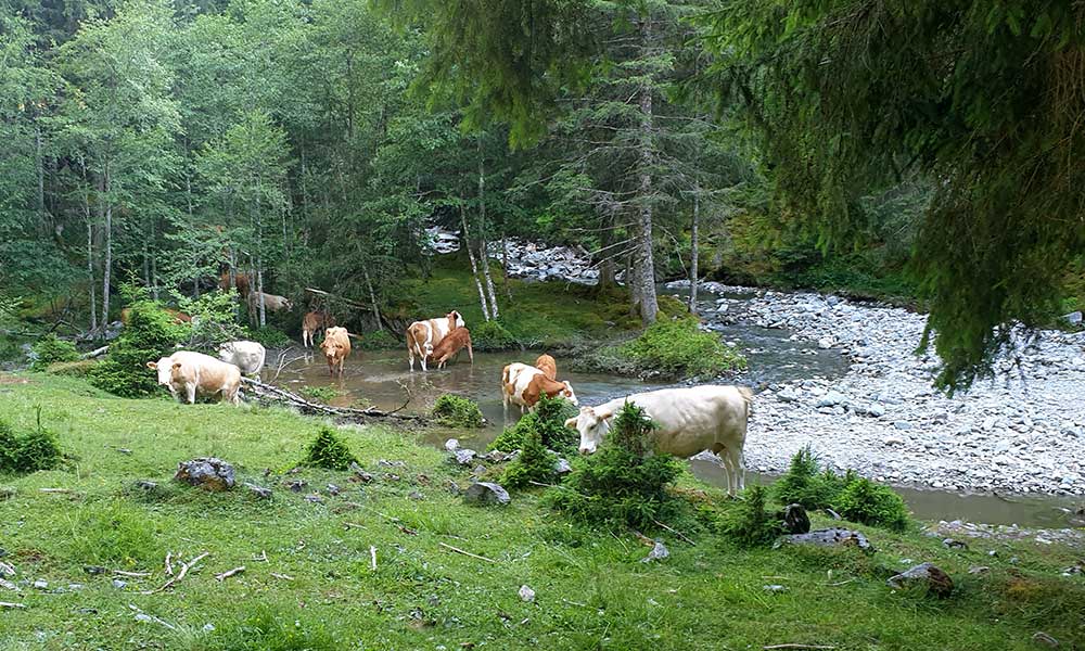  Giglachsee