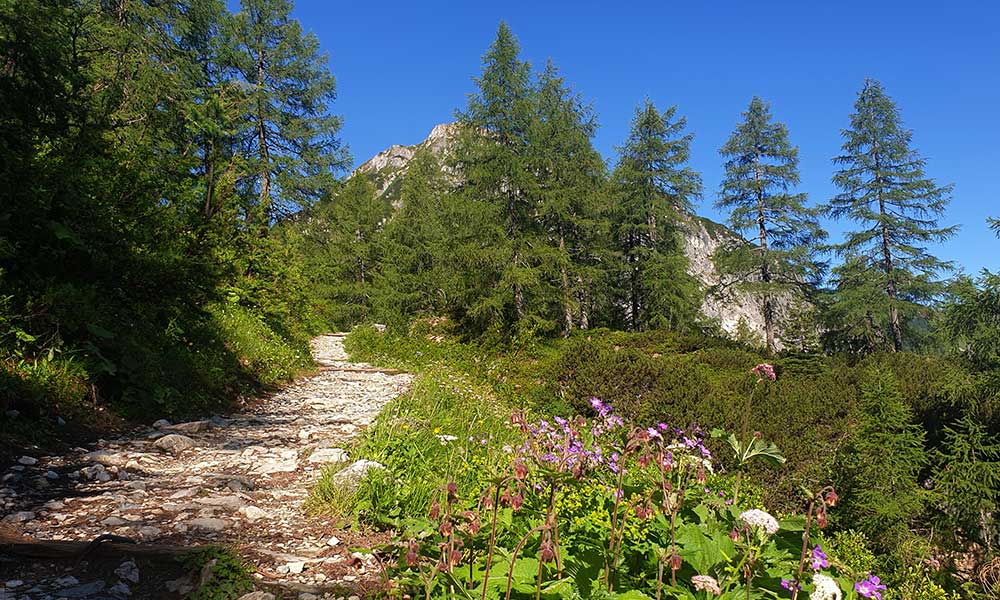 Glingspitze