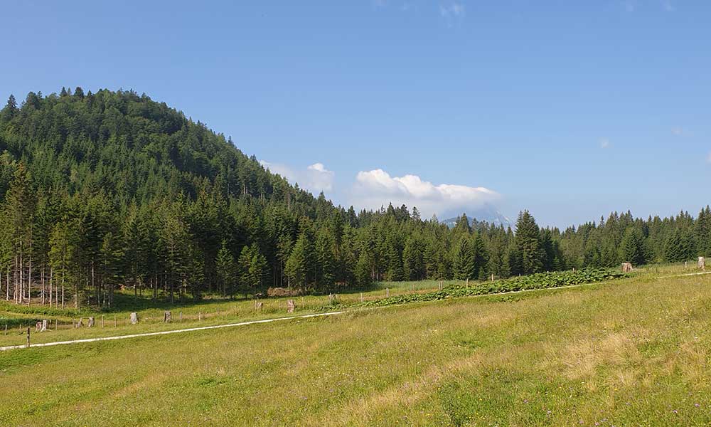 Bärenfeuchtkogel