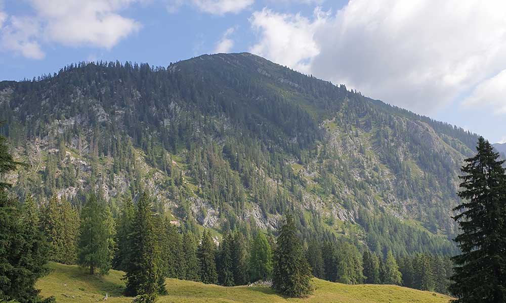 Bärenfeuchtkogel