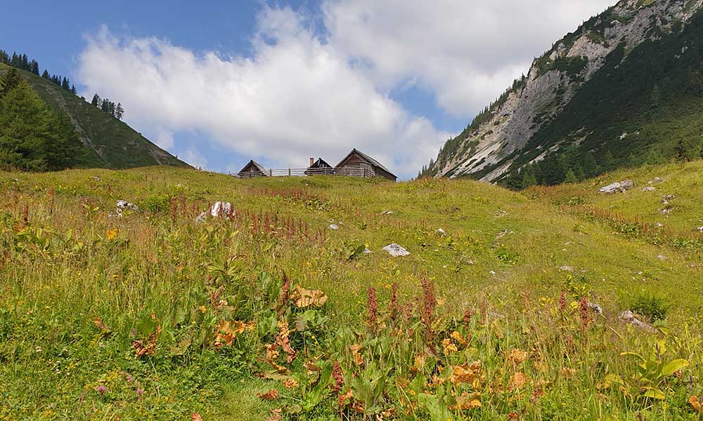 Bärenfeuchtkogel