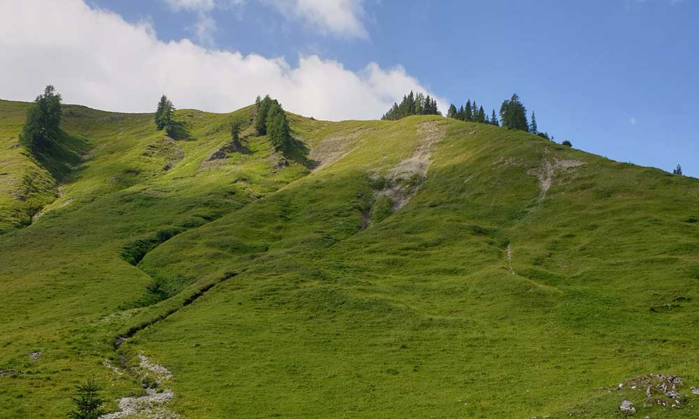 Bärenfeuchtkogel