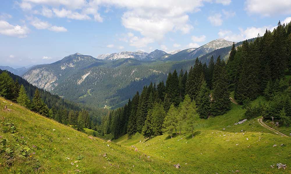 Bärenfeuchtkogel