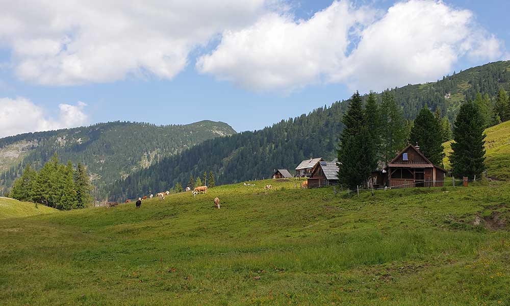 Bärenfeuchtkogel