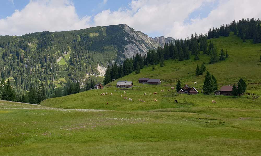 Bärenfeuchtkogel