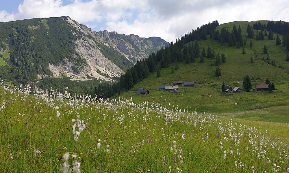 Bärenfeuchtkogel