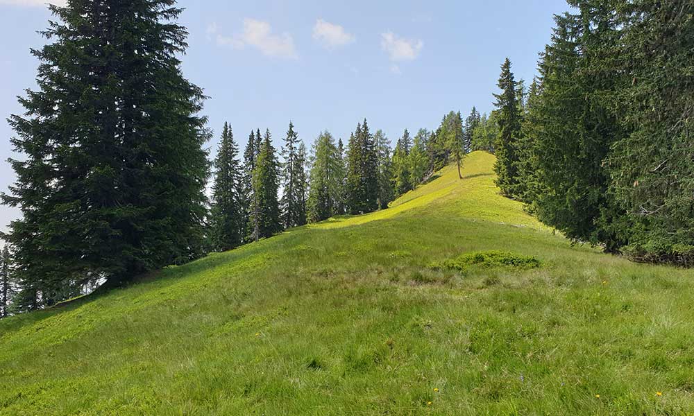 Bärenfeuchtkogel