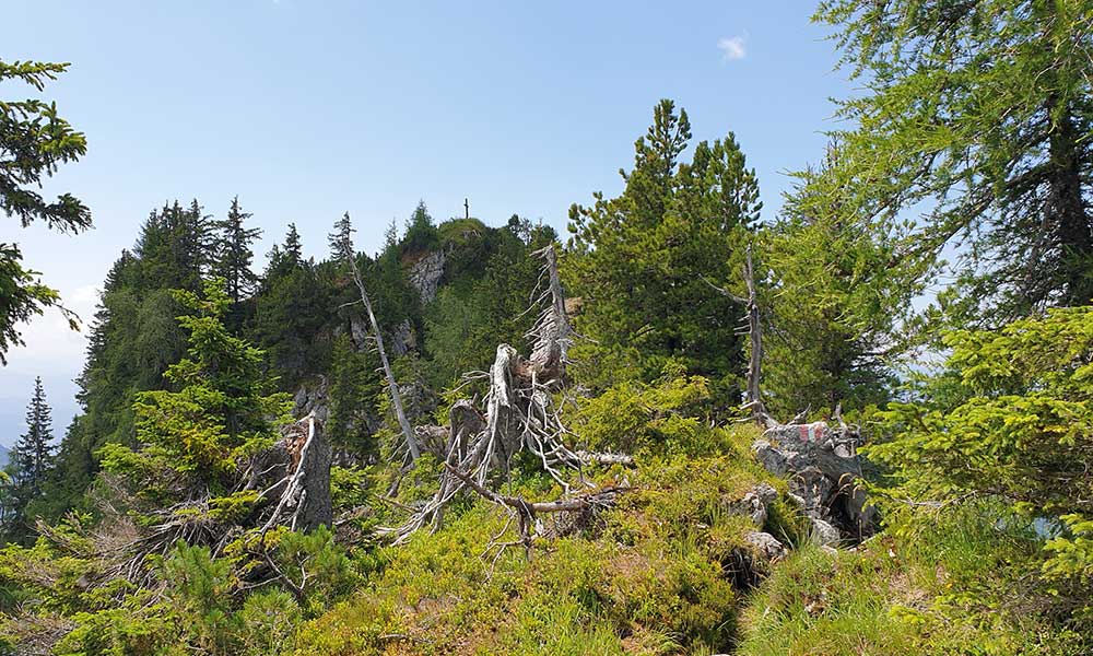 Bärenfeuchtkogel