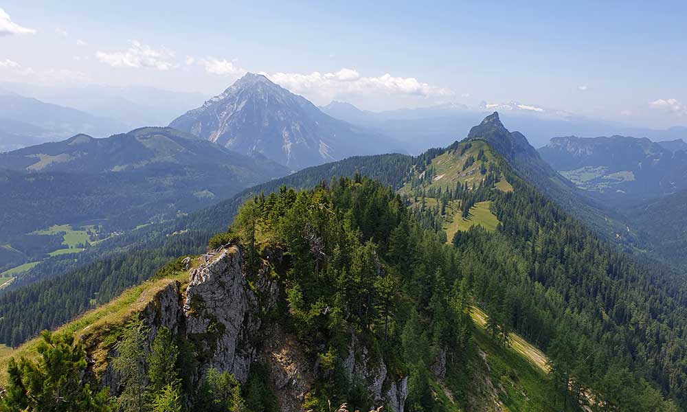 Bärenfeuchtkogel