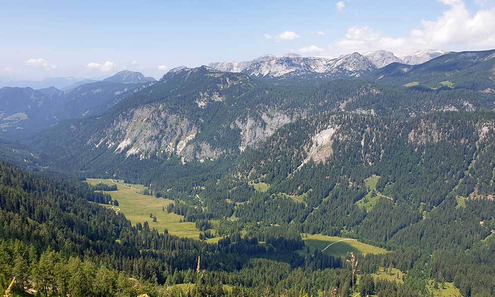 Bärenfeuchtkogel