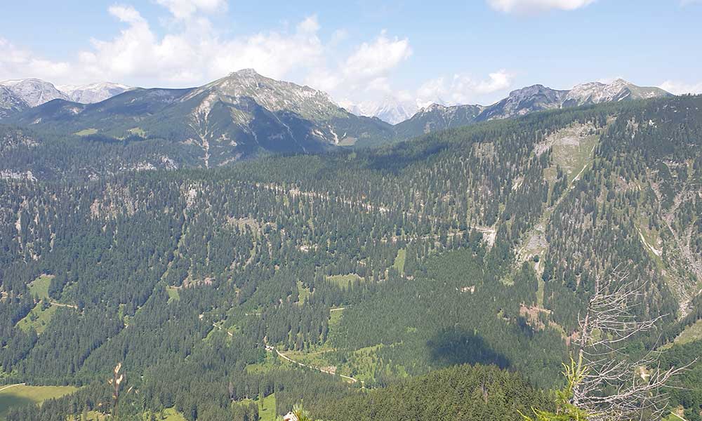 Bärenfeuchtkogel